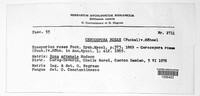 Passalora rosae image